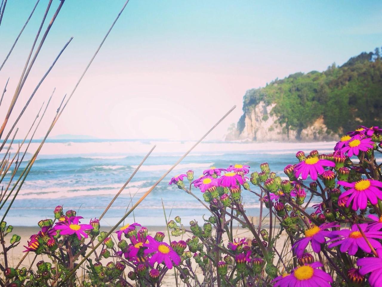 Estuary Retreat Вангамата Екстер'єр фото
